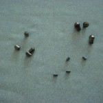 CARBIDE PIN INSERTS